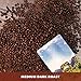 Low Acid Organic Coffee – Whole Bean, Mold-Free & Stomach Friendly by Java Planet, Colombian Single Origin Coffee, Medium Dark Roast, Smooth Full Flavored, 1LB Bag