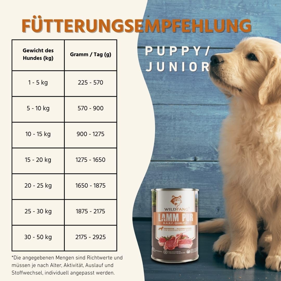 Wildfang® Hundefutter Nass 400g – Premium Pur Lamm Nassfutter für Hunde mit natürlichen Zutaten, Getreidefrei & glutenfrei, ohne Zuckerzusatz, ideal für alle Rassen und Senioren-Hunde – 6er Pack