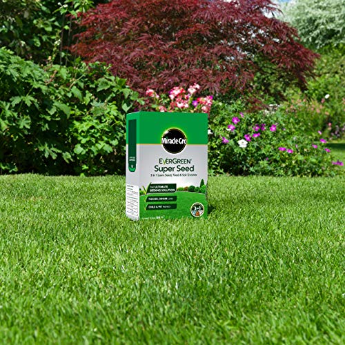 MiracleGro 119668 EverGreen Super Seed lawn Seed 2 kg 66 m2, 3 in 1