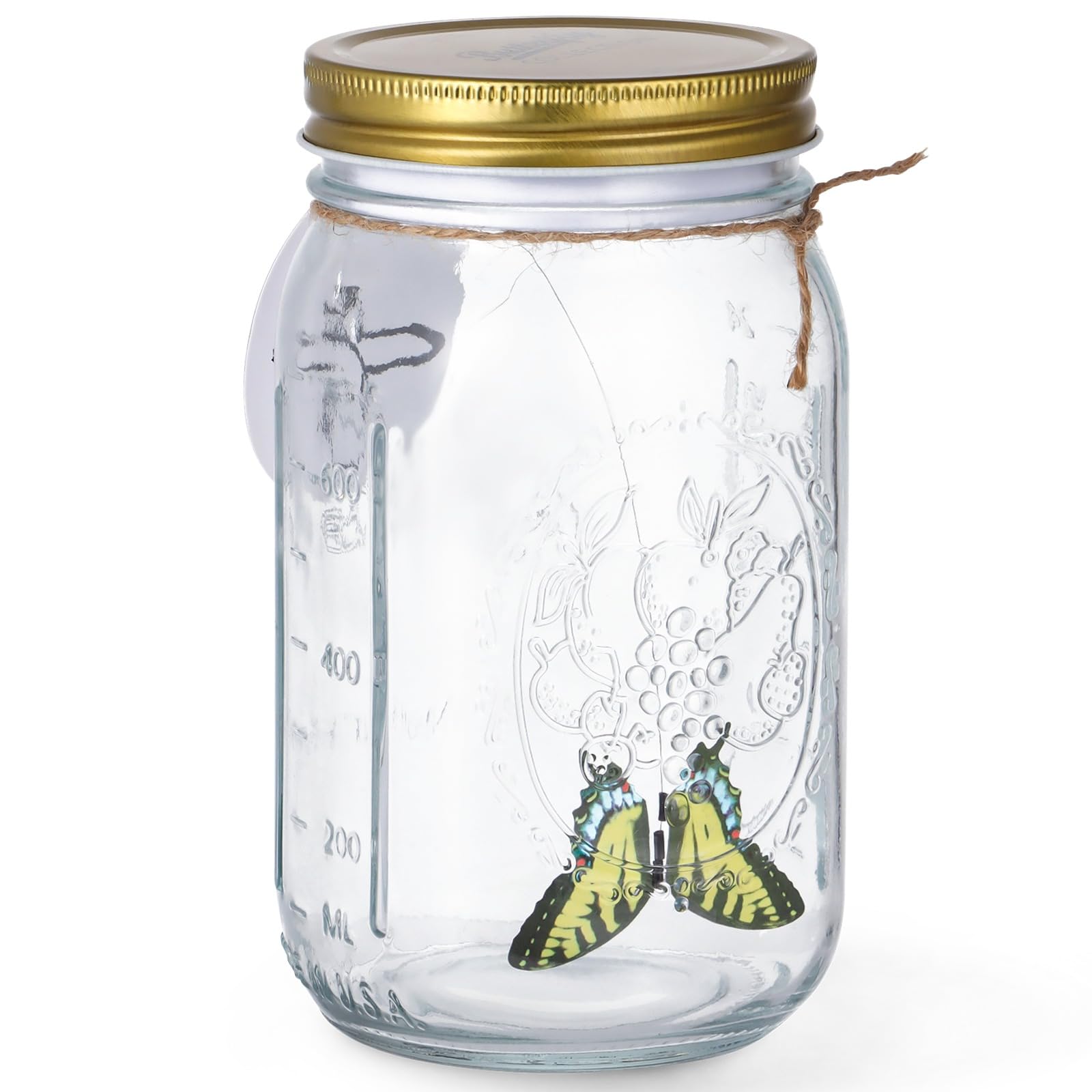 Mariposa en tarro decorativa con luz LED el regalo de cumpleaños original para mujer