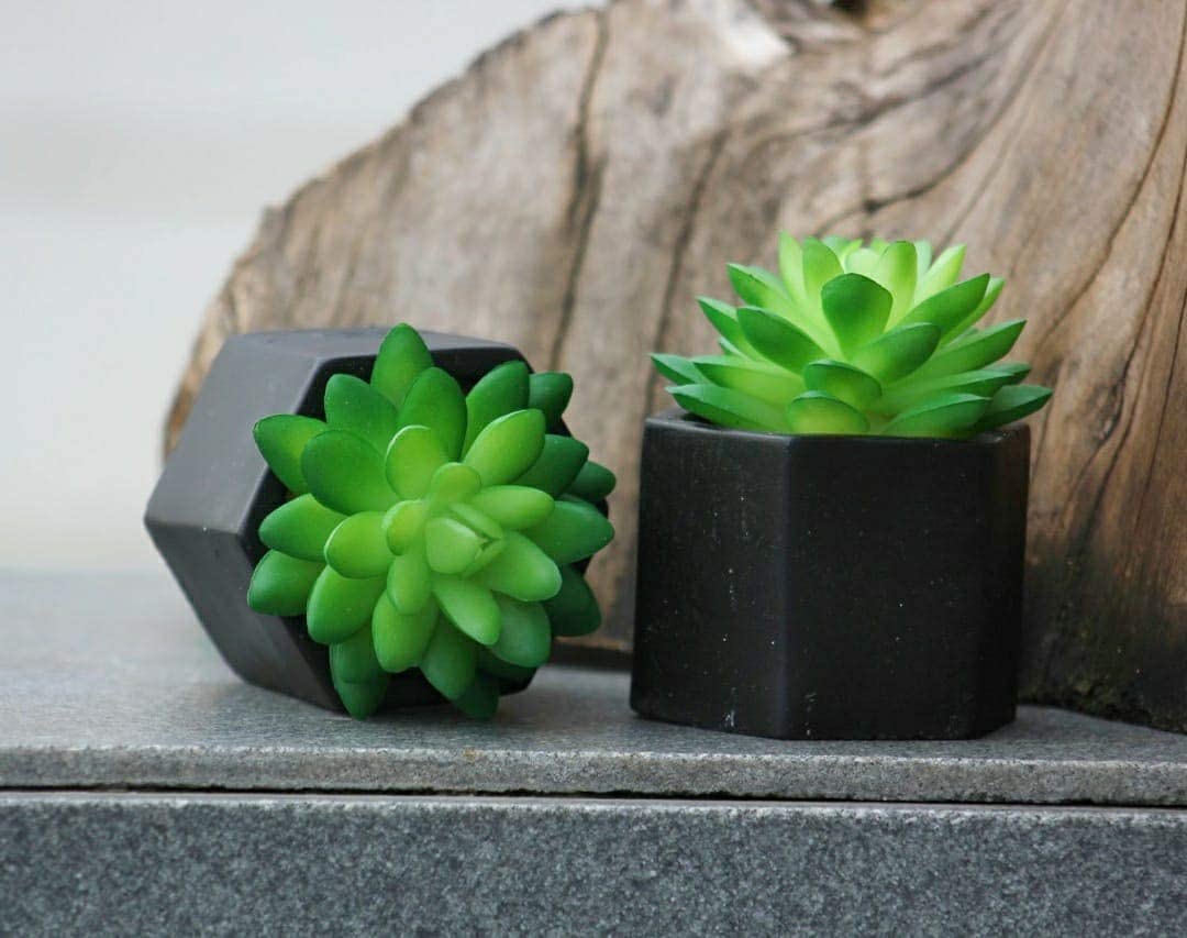 SATYAM KRAFT 6 Pcs Artificial Succulent Heads Small Mini Plants, Exquisite Faux Plant Add Charm to Your Home Decor, Office Decor, Perfect for Gifting, Valentine Decor (Without Pot)