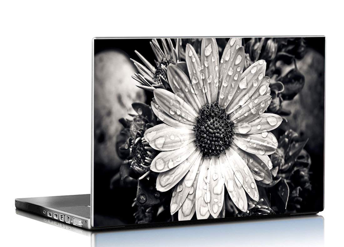 See full amazon price history chart for PIXELARTZ Laptop Skins Black and White Flower 15.6 Inches Laptop Skins/Stickers for Dell Lenovo Acer HP (1088) PIXELARTZ Laptop Skins Black and White Flower 15.6 Inches Laptop Skins/Stickers for Dell Lenovo Acer HP (1088) (B07XSH1M7J) Amazon Price History, Amazon Price Tracker