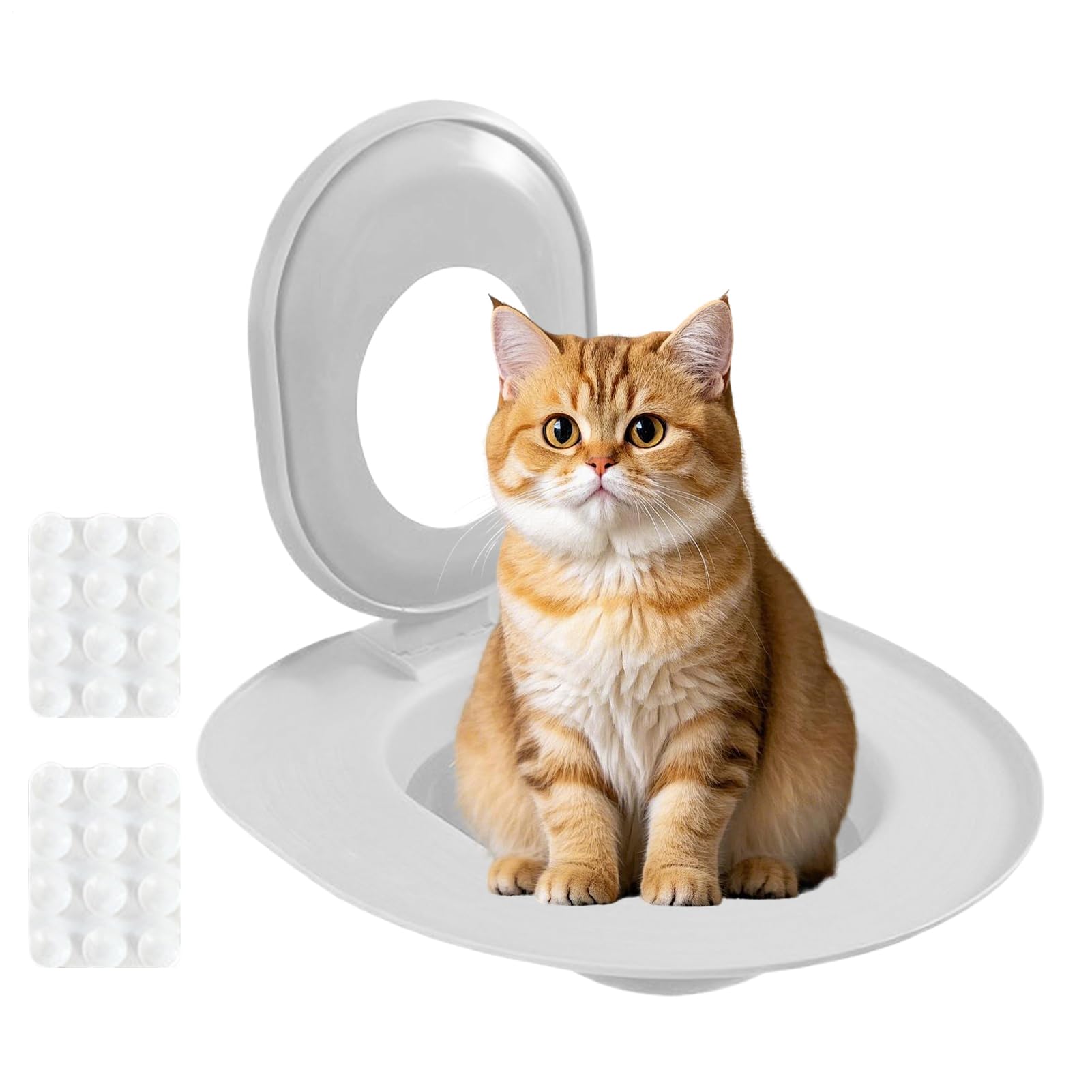 Kit de entrenamiento CAT WC para adaptar el inodoro para gatos y liberar espacio en tu baño