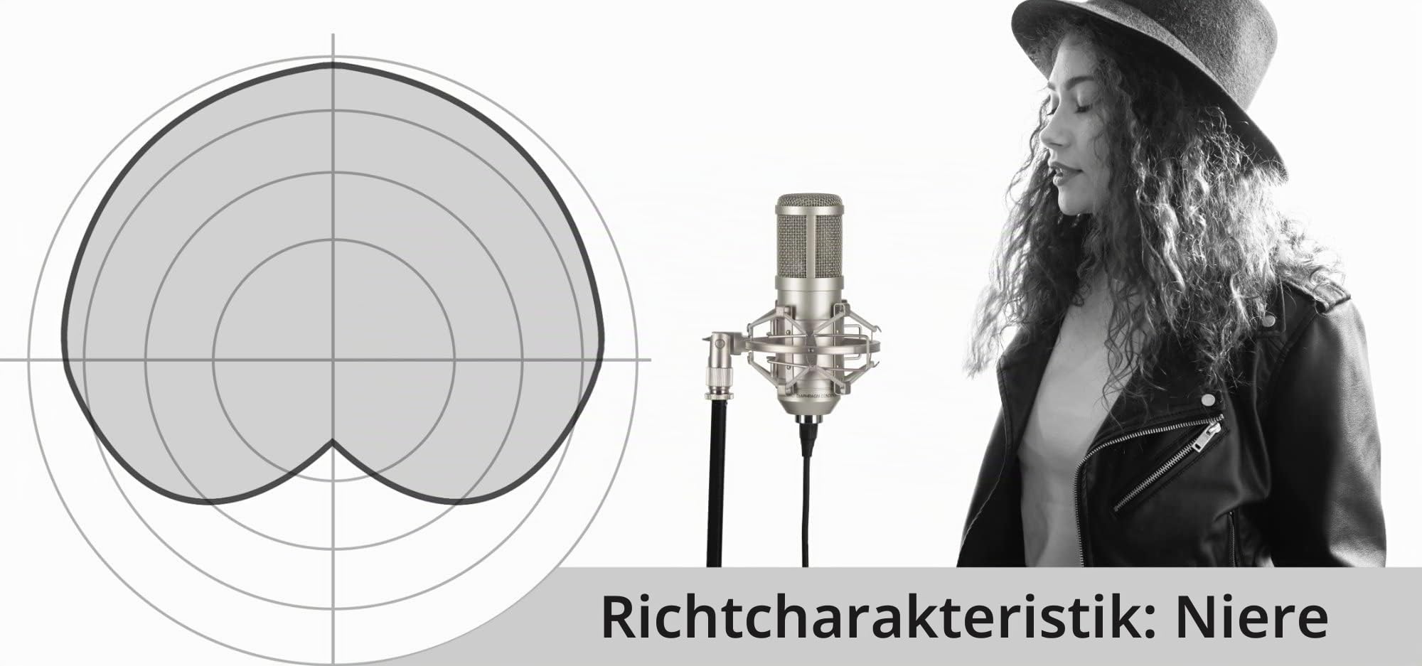 Pronomic CM-100S Studio Großmembranmikrofon XLR-Kondensatormikrofon (mit Mikrofonspinne, Etui, Windschutz, Reduziergewinde) Silber | Goldbedampfte 34 mm Membran, Richtcharakteristik: ausgeprägte Niere, Frequenzbereich: 20 Hz - 20 kHz, 5 % THD, XLR-Anschlu