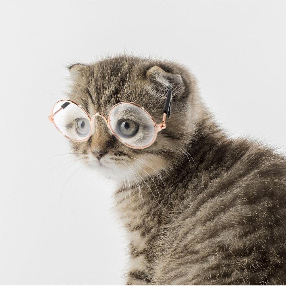 Occhiali Sole per Cani per Piccoli Gatti Classici Occhiali Sole Circolari retrò Foto di Oggetti di Sospensione degli Occhi Accessori per Animali Domestici per Animali Domestici