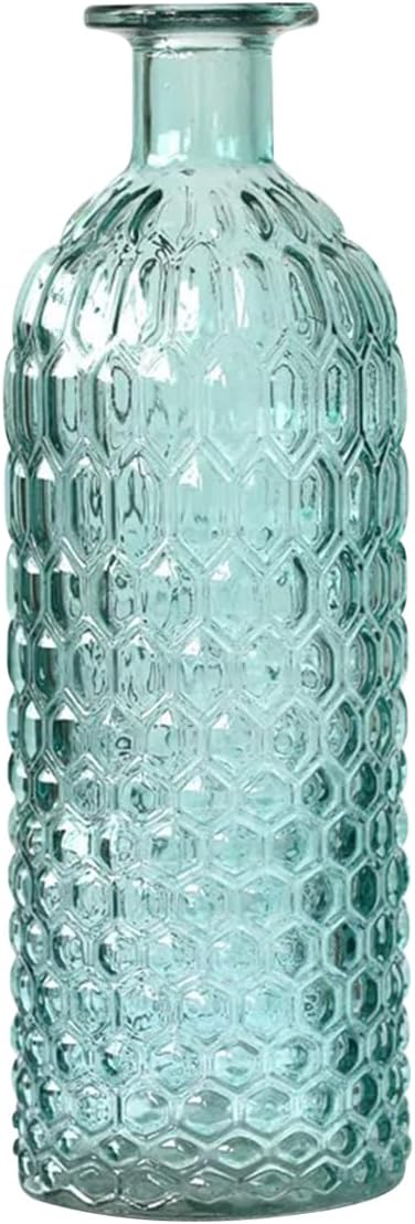 Queenbox 7.3in H Bottle Shape Bud Glass Vase, Small Mouth Clear Flower Vase for DIY Home Table Wedding Party, Red G