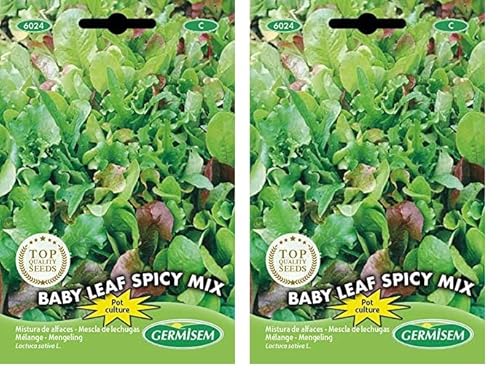 Germisem Baby Leaf Spicy Mix Semillas de Lechuga 2 g, EC6024 (Paquete de 2)