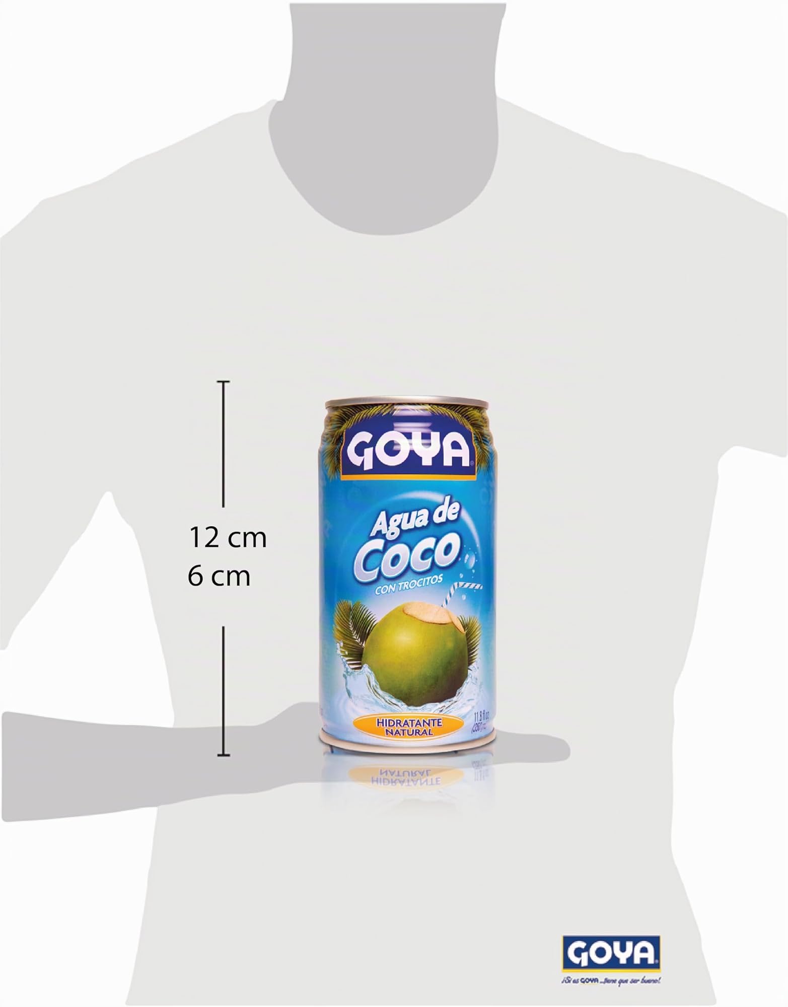 Goya Coconut Water (24x11.8oz )