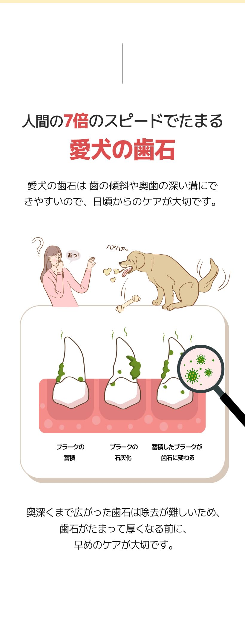 Amazon.co.jp: 犬用 PALMY DAYS 乳酸菌入りデンタルパイ (480g x 30個
