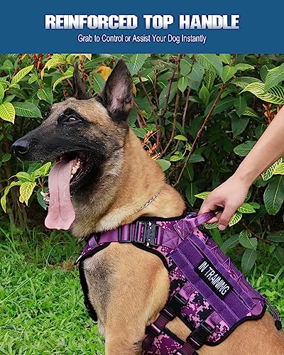 Harnais tactique pour chiens de grande taille anti traction - 5