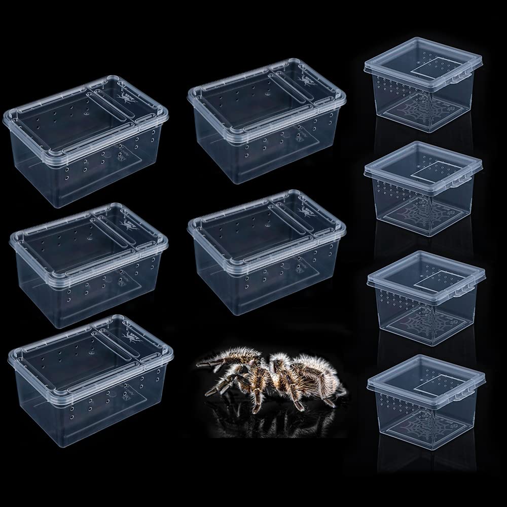 Terrarium pour scorpion en lot de 9 boîtes d'observation pour insectes de bureau