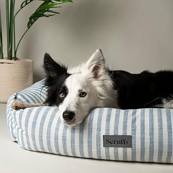 Scruffs Coastal Dog/Pet Box Bed L