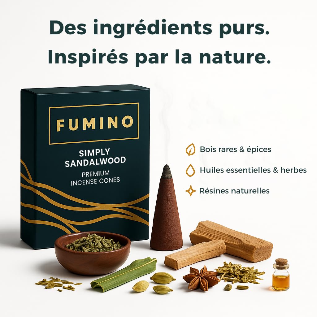 Fumino Encens Cone Naturels Faits Maison Lot 6 boîtes 90 cônes Masala Agarbatti Joss