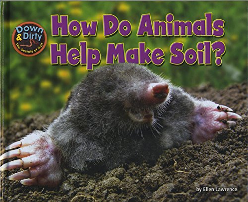 How Do Animals Help Make Soil? 1627248358 Book Cover