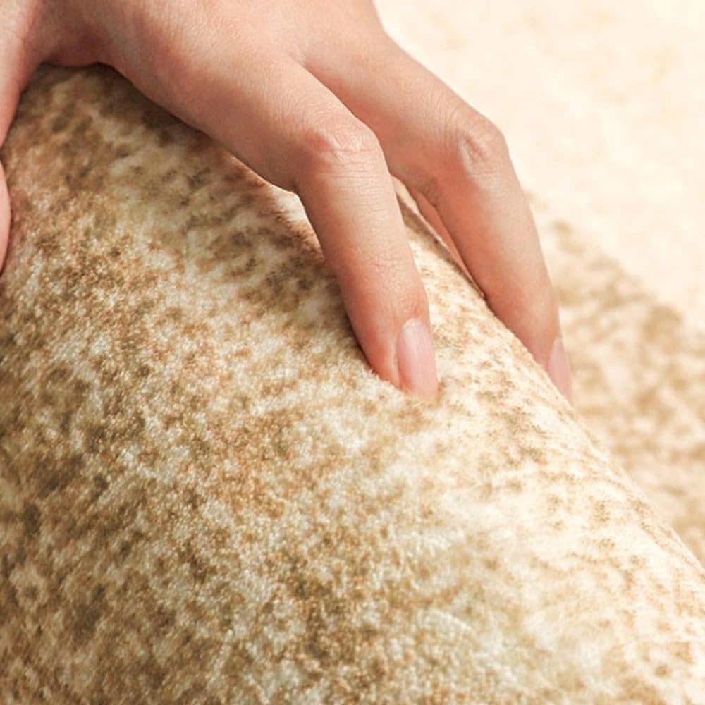 Minimalist Style Bedroom Decor Carpet Thick Plush Cloakroom Rug Large Area Carpets for Living Room Fluffy Soft Lounge Floor Mat,A,200X300cm