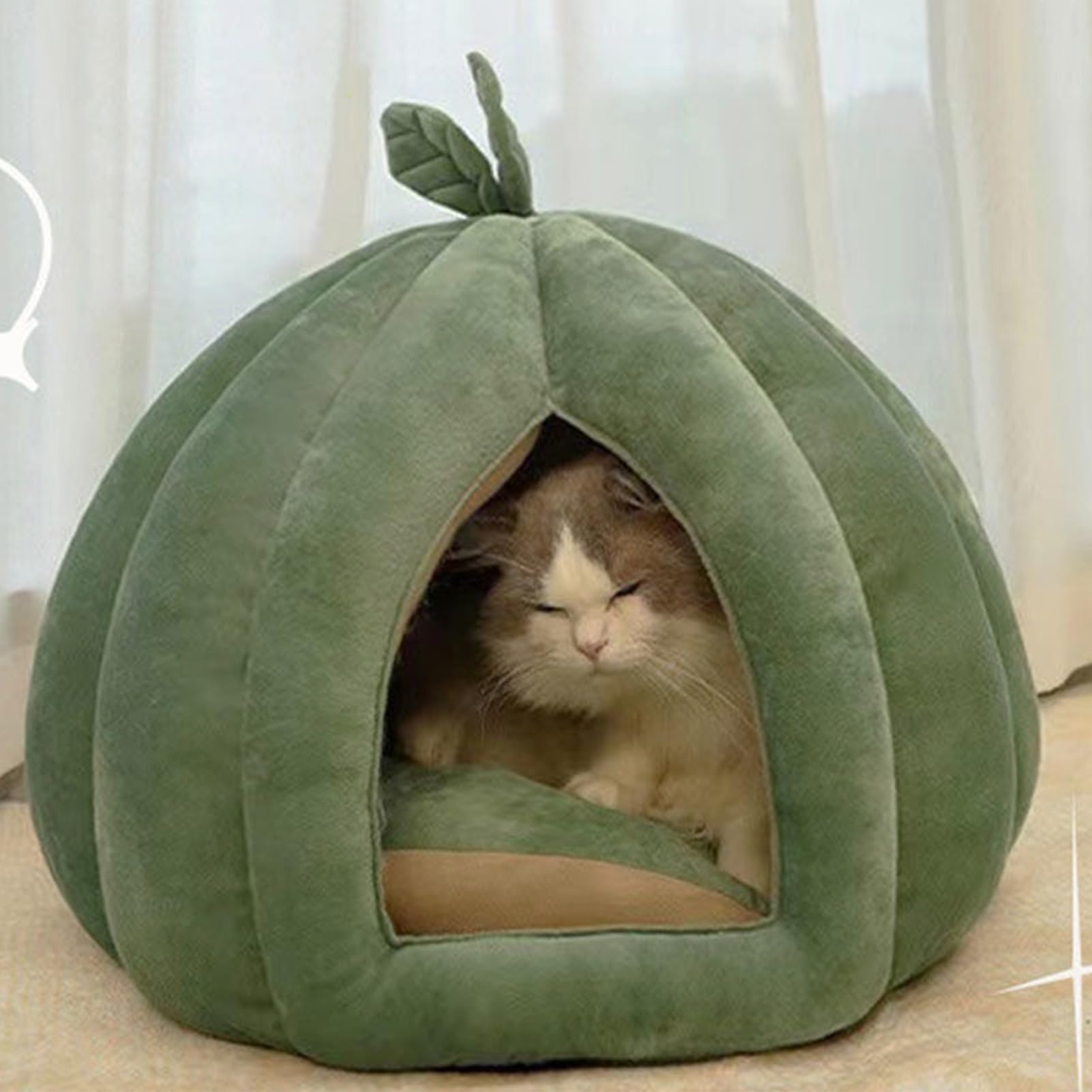 Cuccia per gatti di casa, cuccia per gatti, cuccia di , cuccia chiusa | cuccia per gatti di Halloween, cuccia per gatti, nascondiglio per l'inverno, casa, interni