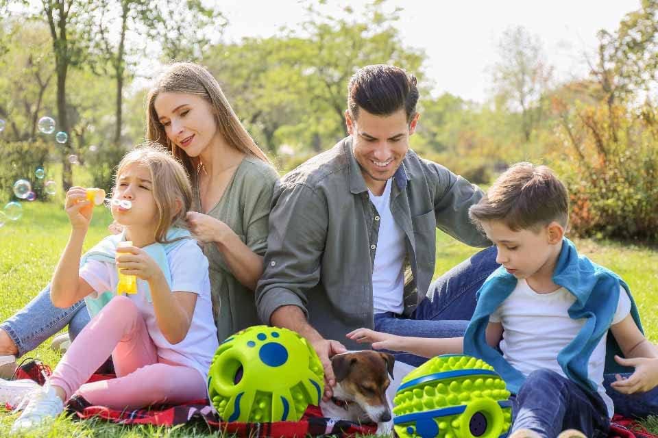 Miniatura 7 de Bamboleo Giggle Dog Ball, extraño juguete para perros, bola luminosa, bola de mascota Peppy, pelota de entrenamiento para jugar, bolas de perro que