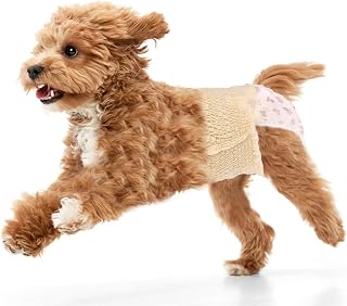 Ambreview Dog Diapers Female, Disposable Diapers for Female Dog with Stretchy Waist, Pull Up Puppy Wraps for Doggie in Heat Period Super Absorbent Leak-Proof Doggy Diaper for Dogs 30PCS (XS)
