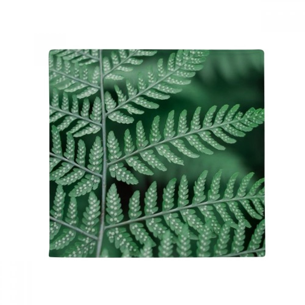 Tapis de plantes photo nature pour salon et cuisine 60x60cm