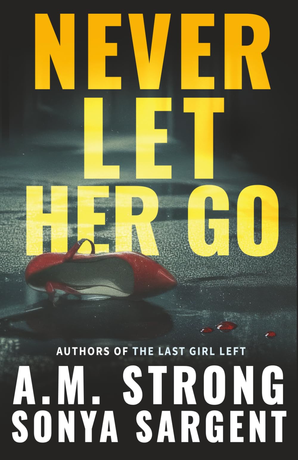 Never Let Her Go (Patterson Blake FBI Mystery Thrillers)