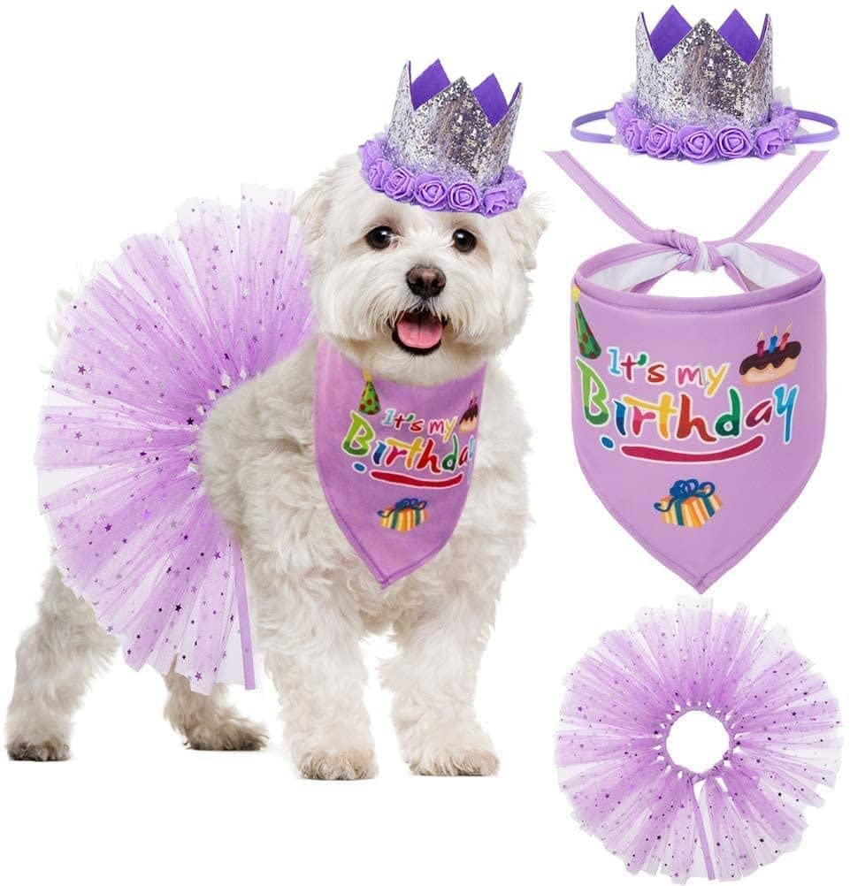 KUTKUT Dog Birthday Bandana Girl - Charming Princess Birthday Party Outfits Supplies, Purple Tutu Skirt, Hat & Bibs Scarf Set for Pet Puppy Cat (B09HCK2YLC) Amazon Price History, Amazon Price Tracker