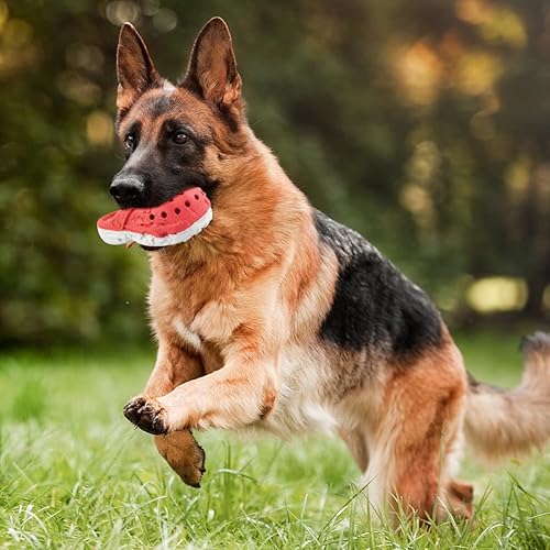 Miniatura 7 de MONDOTOY Juguetes masticables para perros, juguetes resistentes para masticadores agresivos, juguete de goma duradero para entrenamiento y limpieza