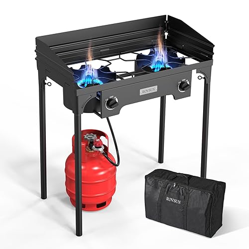 2 Burner Outdoor Propane Gas Stove with Regulator, Windpanel &