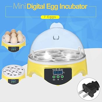 自動孵卵器と変圧器 セットで Amazon | 自動孵卵器 7卵 ミニ デジタル 孵卵機 透明 卵の孵化機