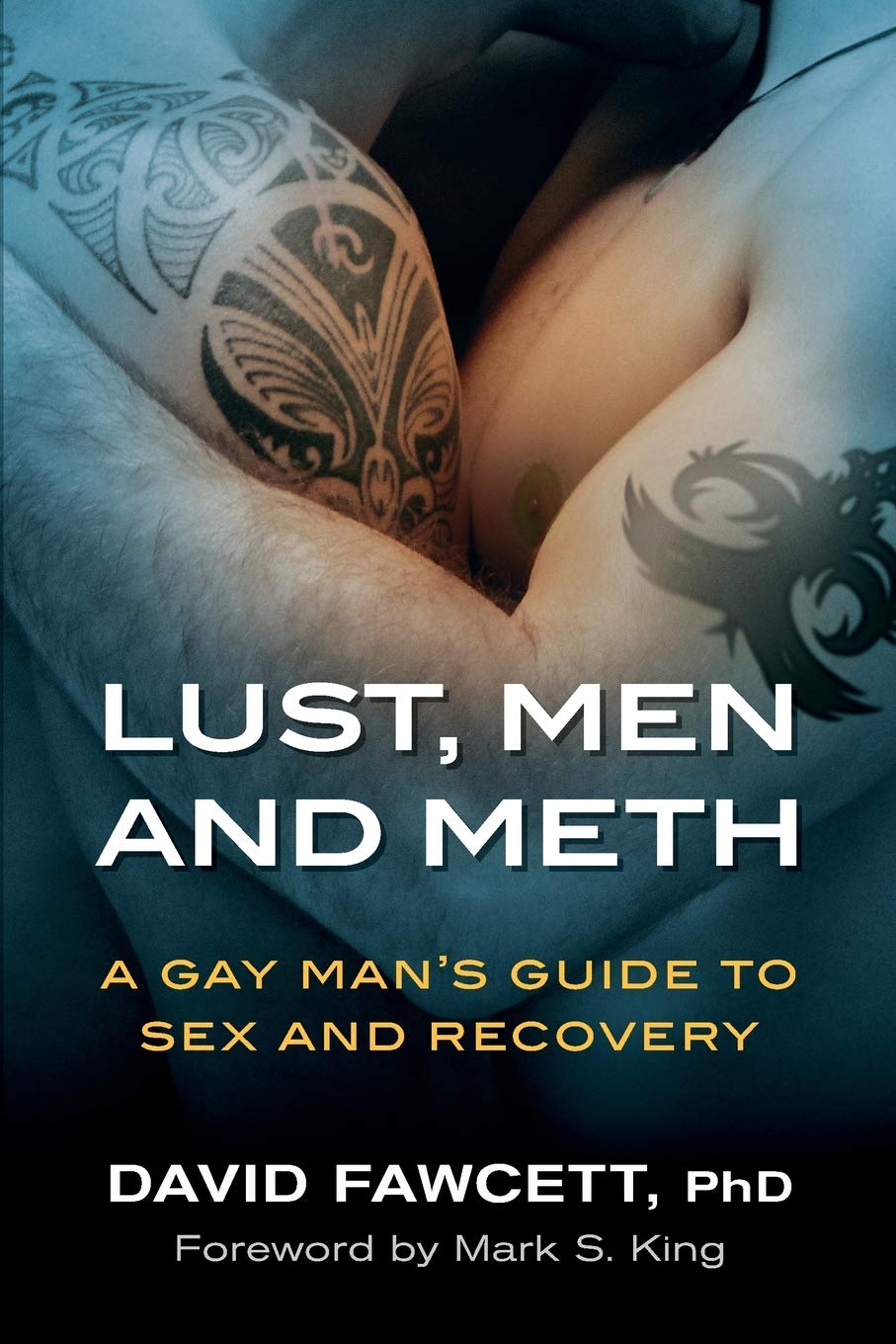 Lust Men and Meth A Gay Mans Guide to Sex and Recovery