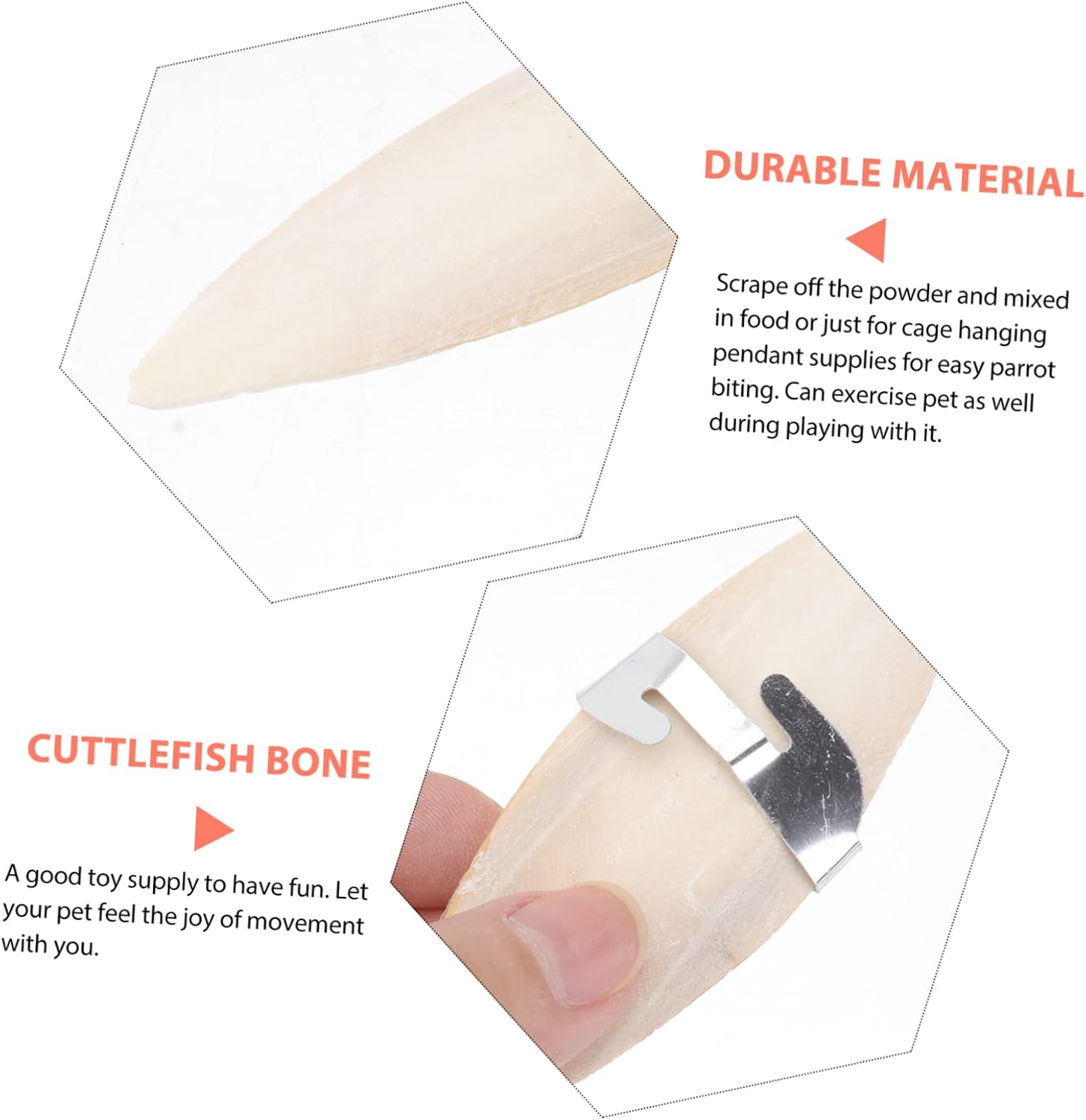 COLLBATH 6Set Natural Cuttlebone Bird Chew for Parrots and Pets Calcium Rich with Metal Holder Molar and Bite for Beak Health and Cage Entertainment