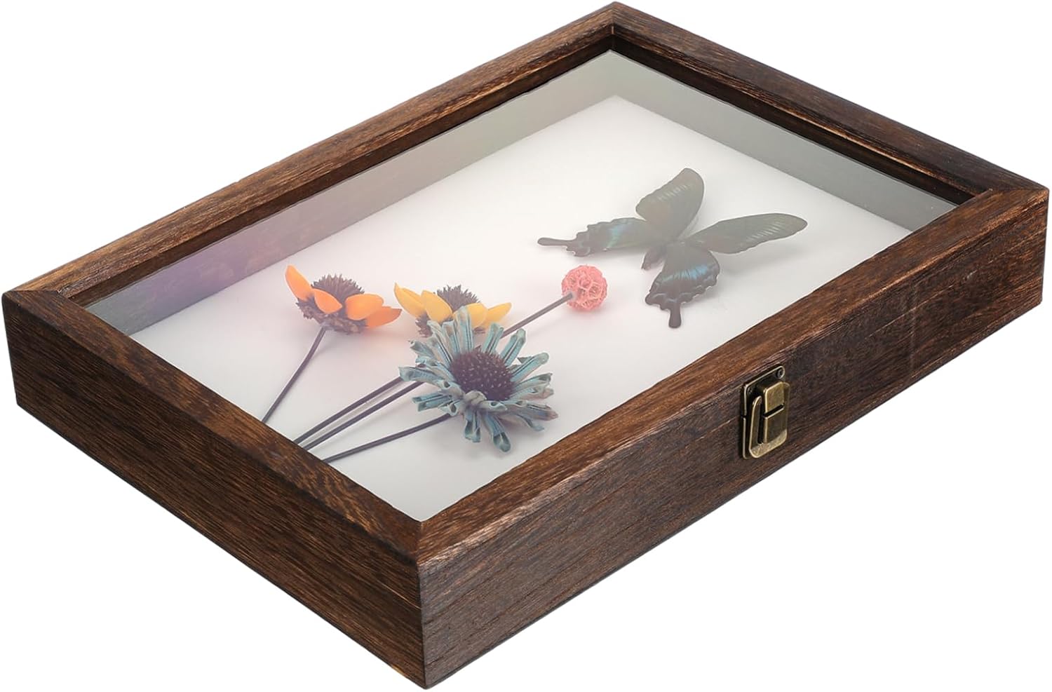 Butterflies Specimen Display Case Sturdy Wooden Shadow Box Miniature Display Holder Lock Random Style