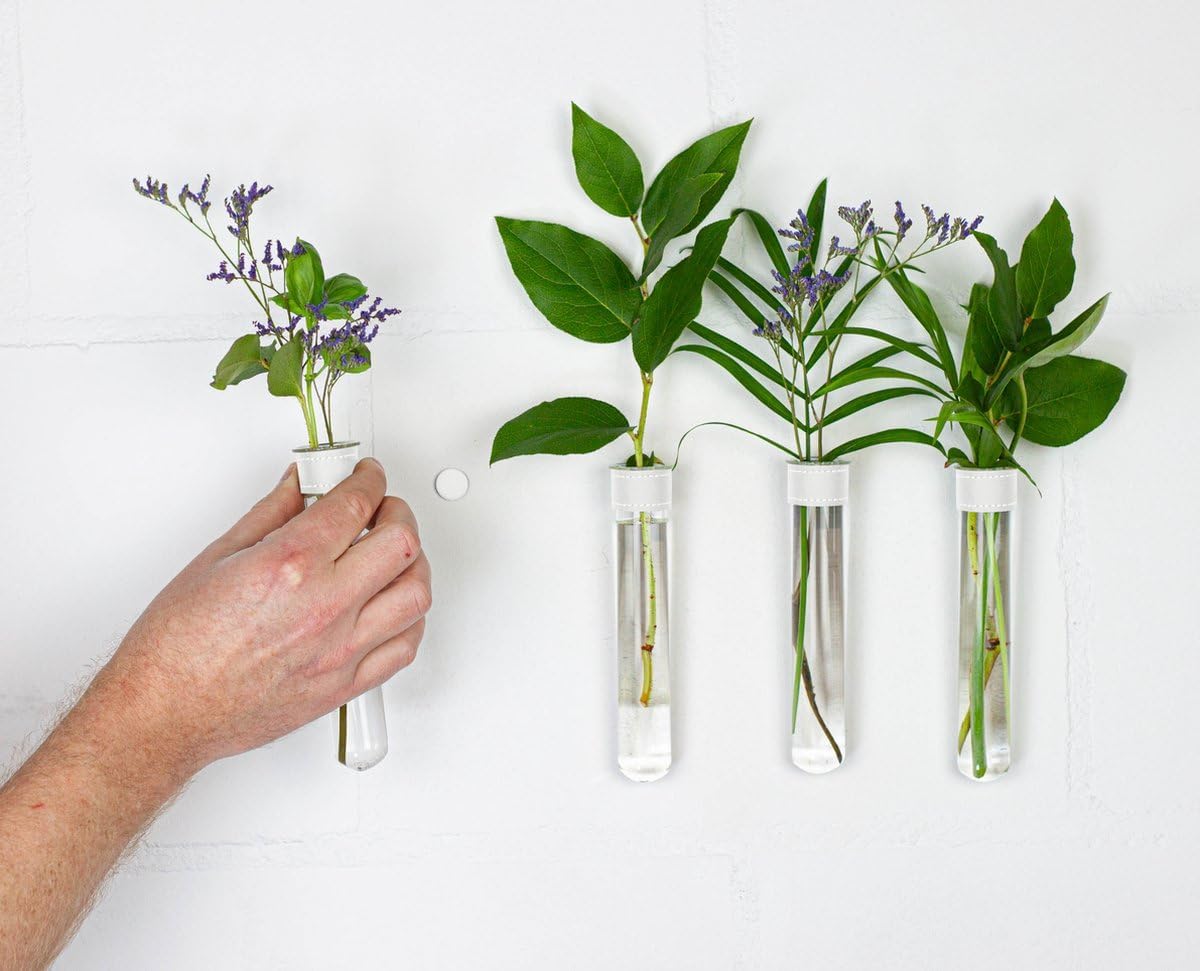 Magnetic Wall Hanging Plant Propagation Station - 12PC - White Leather Wrapped Test Tube Vase Set, Modern Home and Office Decor, Hydroponic Plant Holder, Includes Wall Mount Magnets