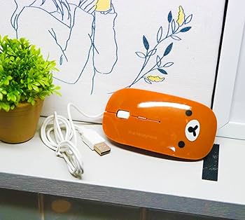 リラックマ　USBマウス　全2種セット Amazon.co.jp: マウス リラックマ リラクマ usb 有線 かわいい