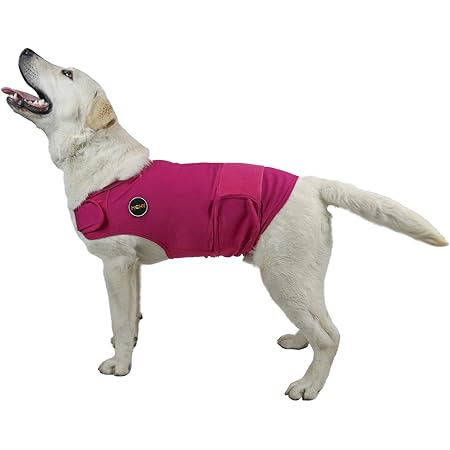 rc pet venture outerwear