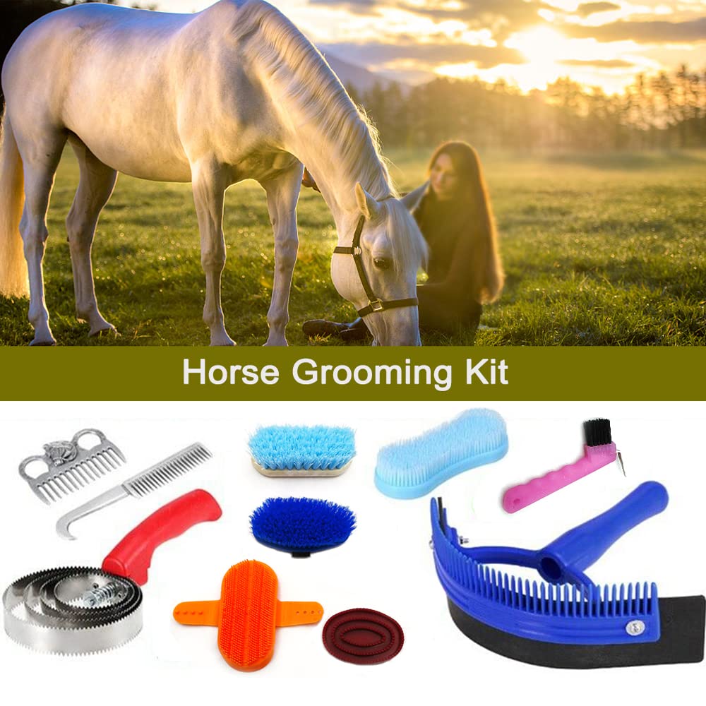 Juego de 10 piezas de aseo de caballos, kit de herramientas multiusos de cuidado ecuestre con bolsa de almacenamiento para limpieza de enfermería (color al azar)