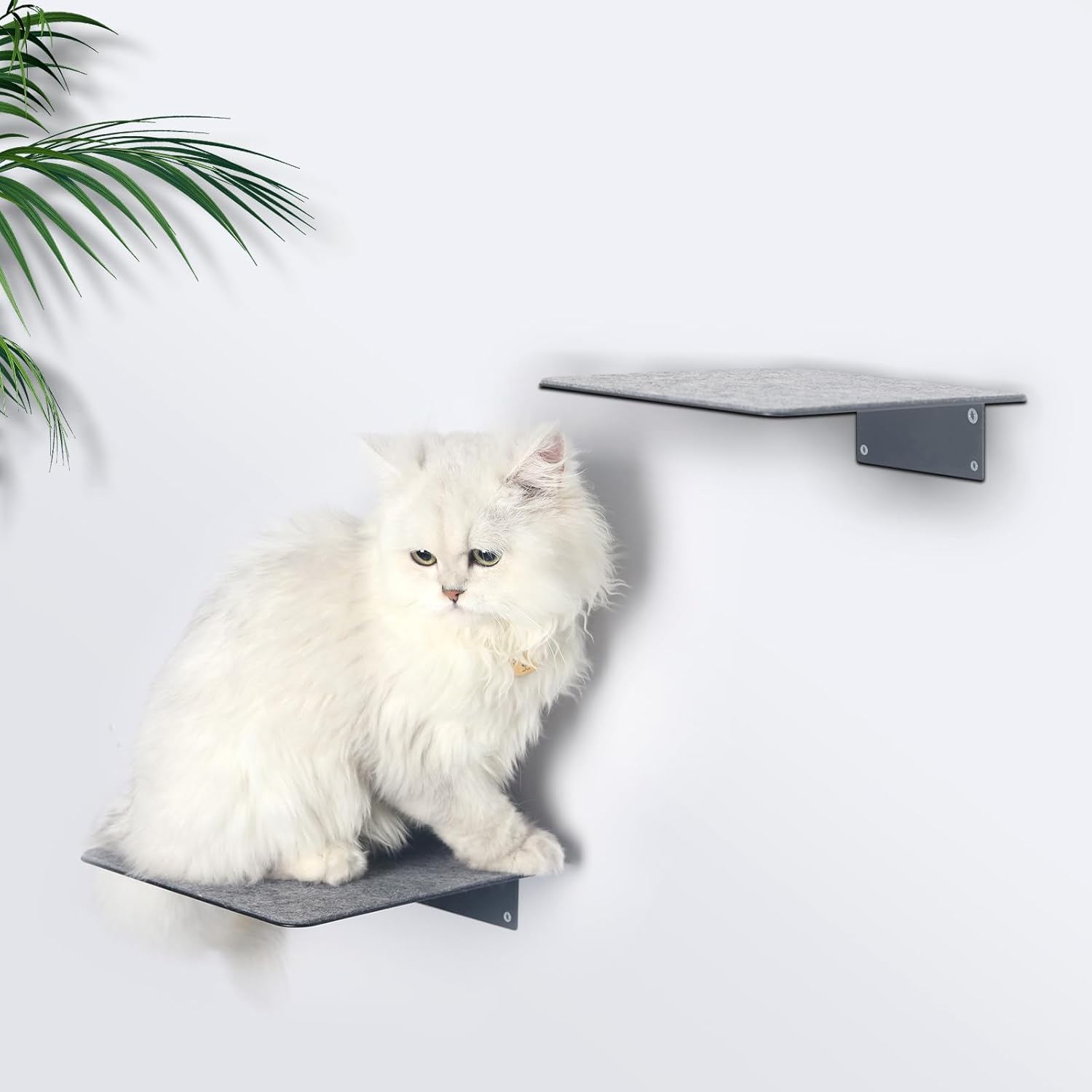 Cat Wall Shelves, 2 Set Cat Wall Steps Wall Mounted Cat