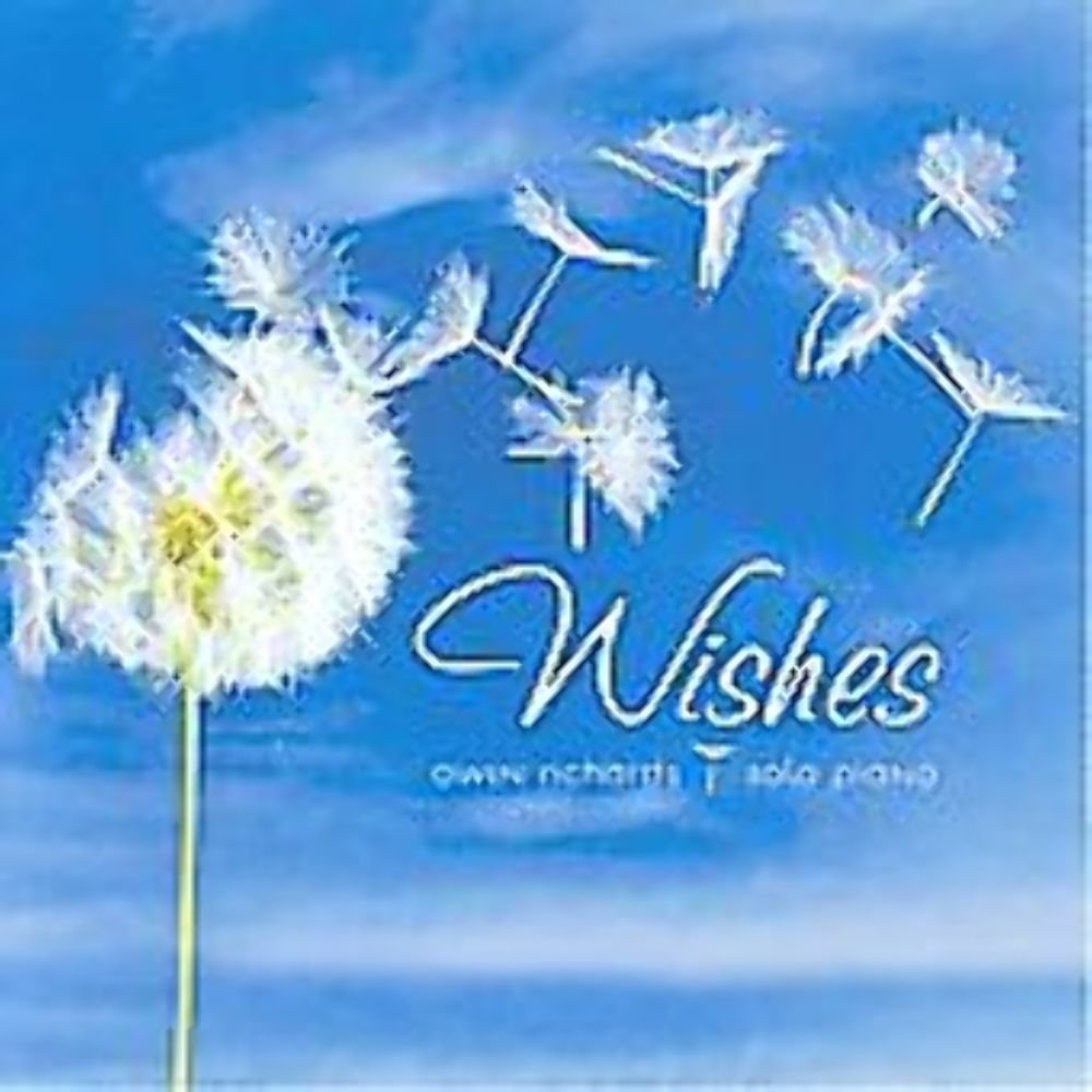 Wishes: Solo Piano [Audio CD] Richards, Owen