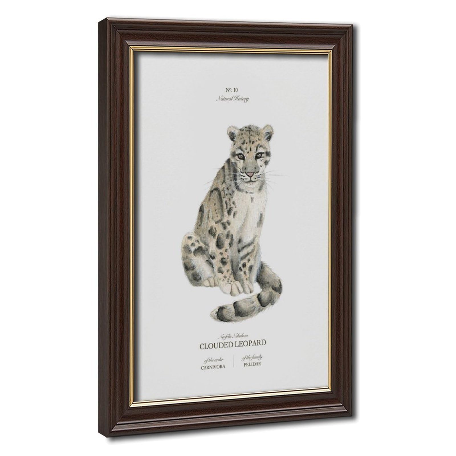 Bareronor Clouded Leopard Poster Canvas Poster Bedroom Decor Landscape Office Room Decor Gift 20" L X 30" W