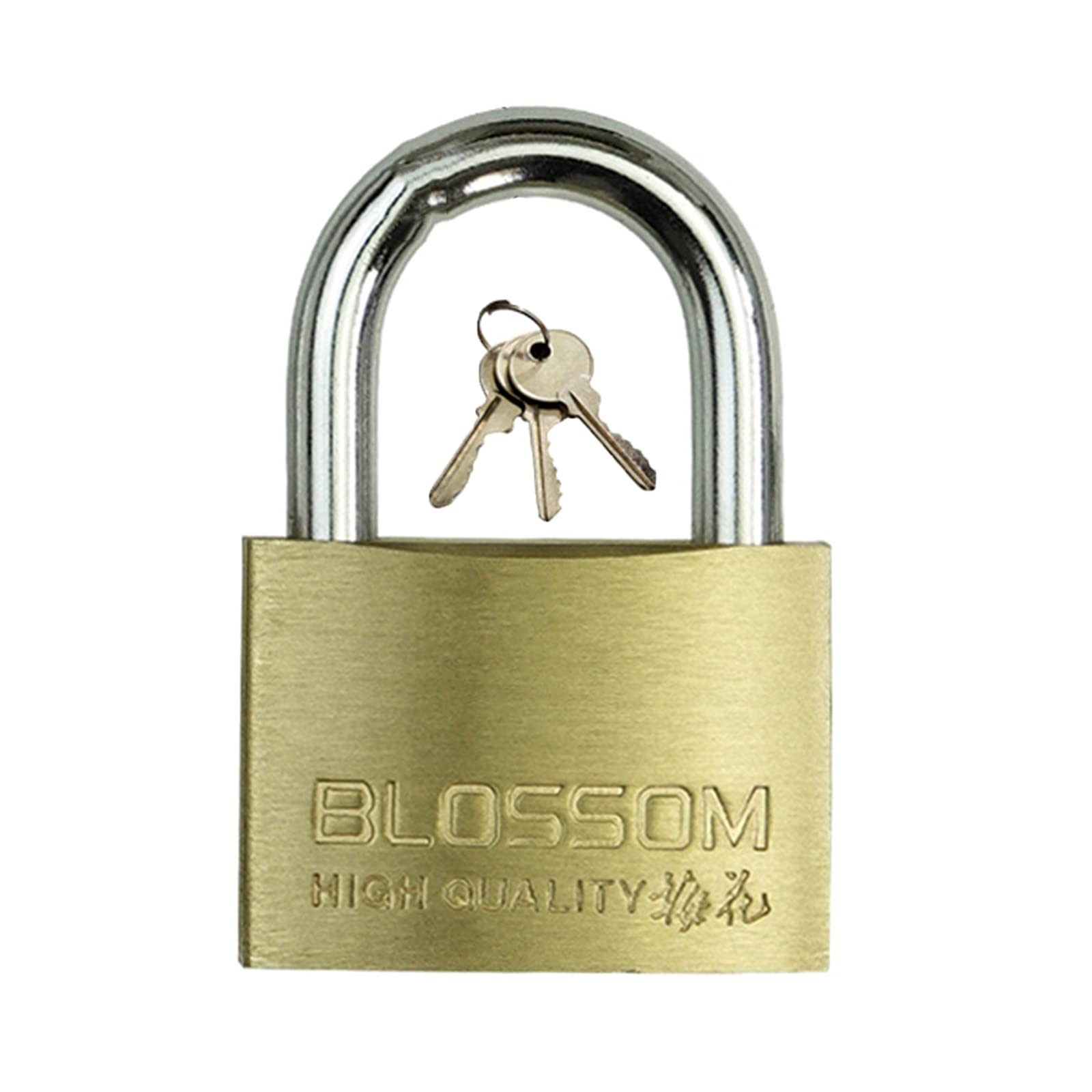 Dhetye Style1 Padlock Brass Key With 3 Keys,Waterproof And Rust-Proof Security Anti-Theft Lock(,25Mm)