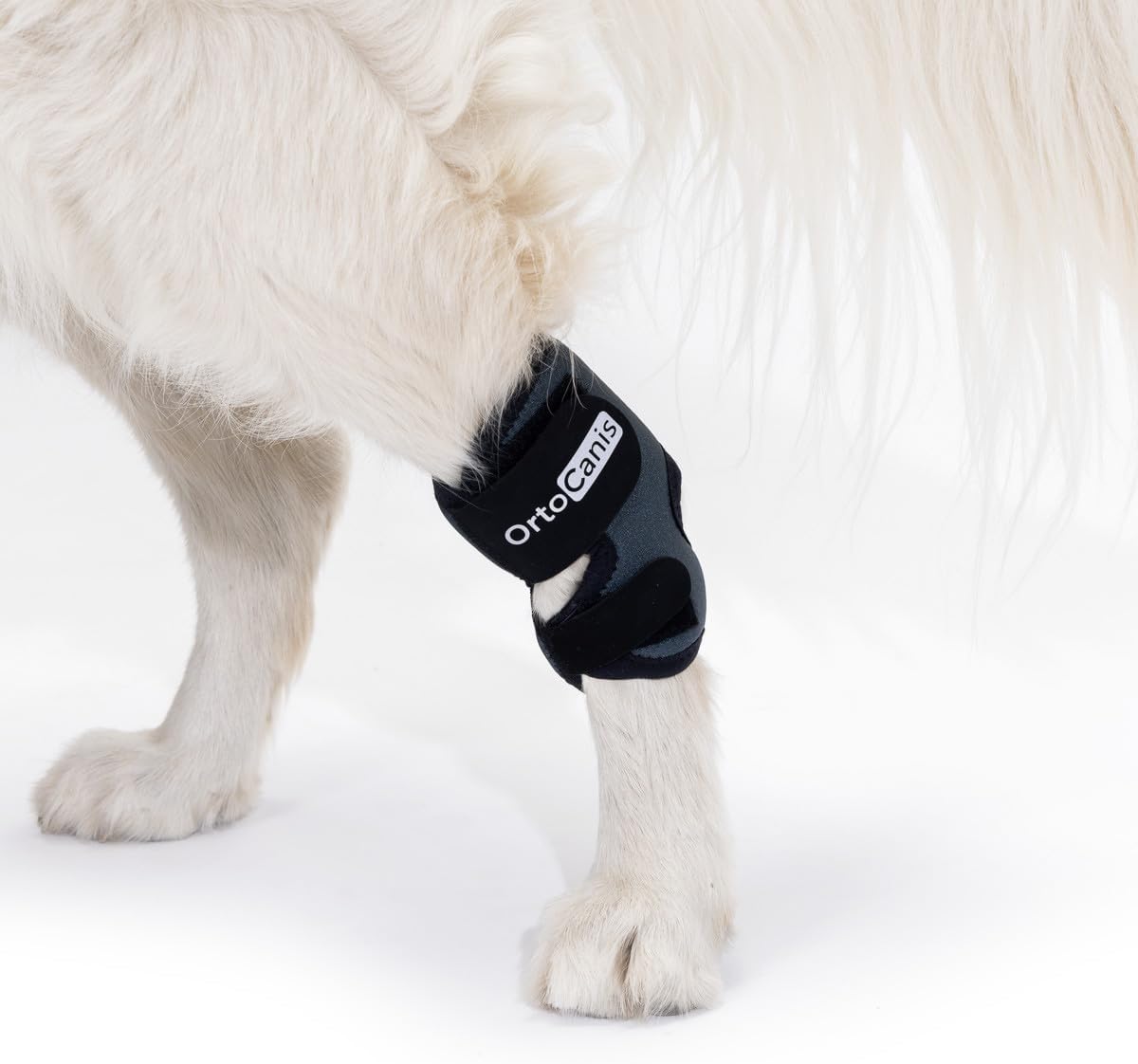 Ortocanis - Tarsal Support for Dog - Ankle Brace for Arthritis, Tarsal and Ligament Injuries, Osteoarthritis, Tendon Inflammations - Made of ARD Neoprene - Size: XL 17,5-19 cm - 15.5-16.5 cm