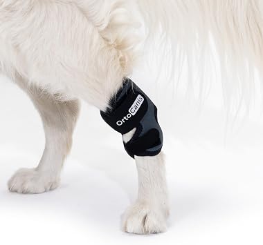 Ortocanis - Tarsal Support for Dog - Ankle Brace for Arthritis, Tarsal and Ligament Injuries, Osteoarthritis, Tendon Inflammations - Made of ARD Neoprene - Size XXS 7-9 cm - 5.5-7.5 cm
