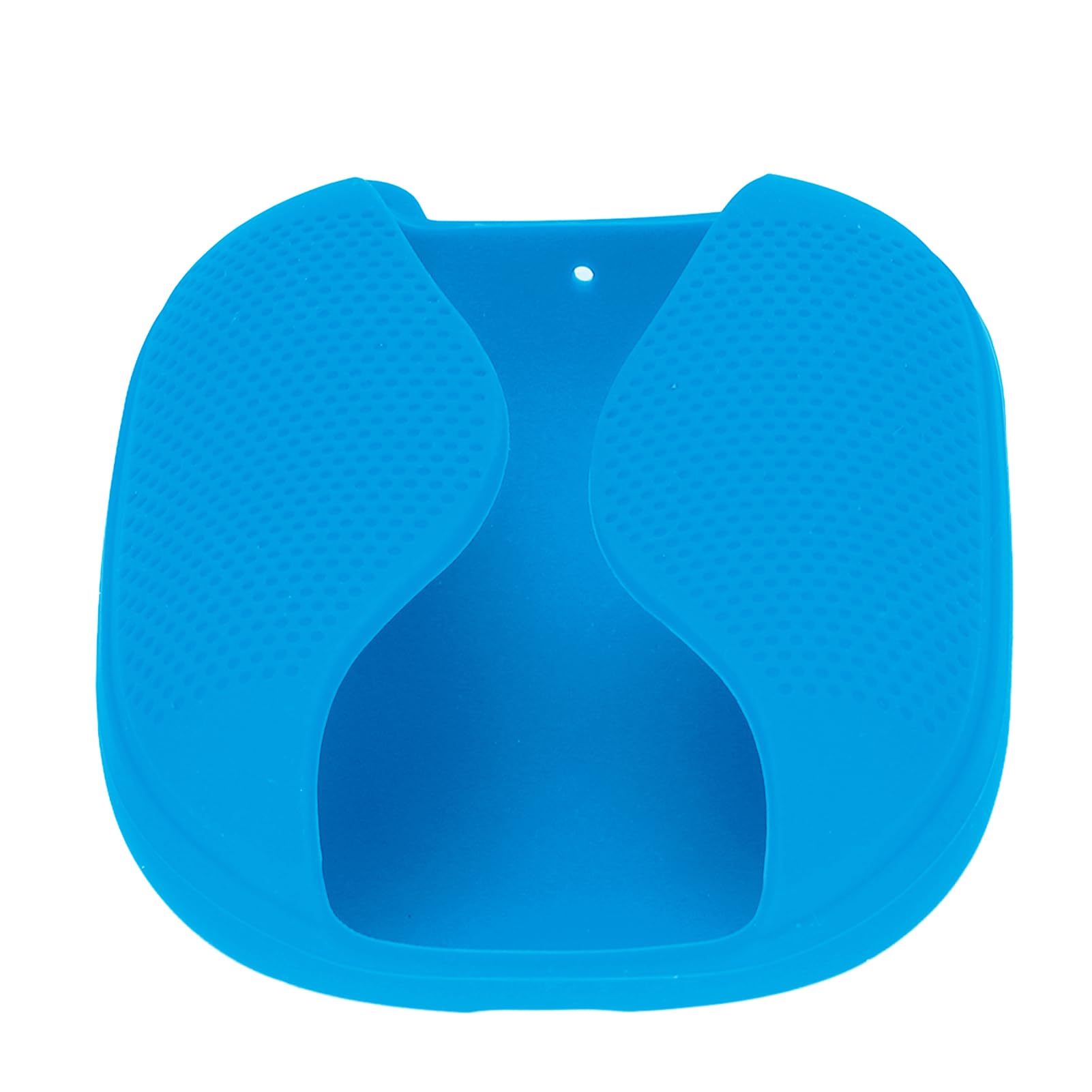 Cocoarm Custodia in Silicone per Cover di Earbuds, Antiurto (BLUE)
