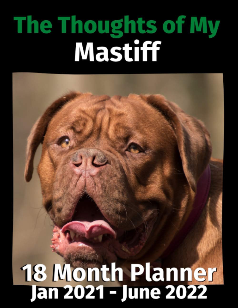 The Thoughts of My Mastiff: 18 Month Planner Jan 2021-June 2022