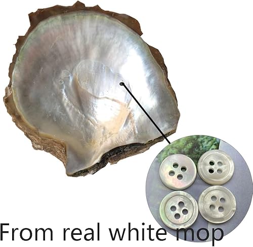 Miniatura 7 de 20 botones de nácar blanco genuino para camisas, vestidos, polo, manualidades (diámetro 0.453 in)