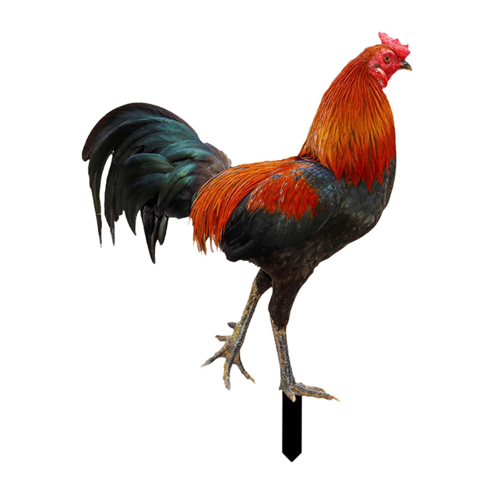 Amslsiu Unique Rooster Garden Stake Fun Easy To Yard Ornaments Outdoor Spring Decor Patio Wall Art Decor Ensuring Can Withstand Various Outdoor Conditions.