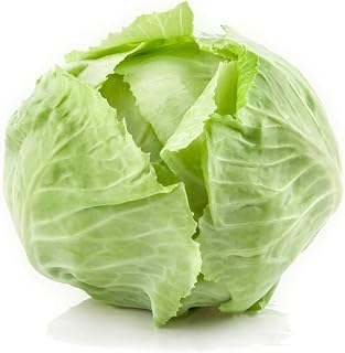 Welldales 100 Large White Ball Head Cabbage Seeds Organic UK Premium Vegetables