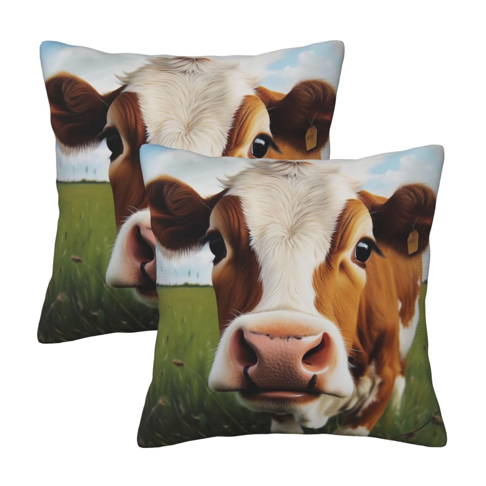 Cute Cow Throw Pillow Cases 2 Pack Square Pillowcases Soft Pillow Protectors for Couch Livingroom Sofa Bed Office Car,50x50 CM