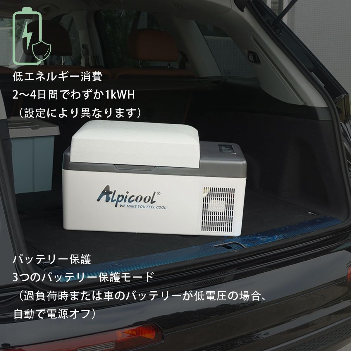 ポータブル冷温庫-20°C 〜20℃アウトドア用 冷温庫 ポータブル冷温庫-20°C 〜20℃アウトドア用 冷温庫 【公式通販】