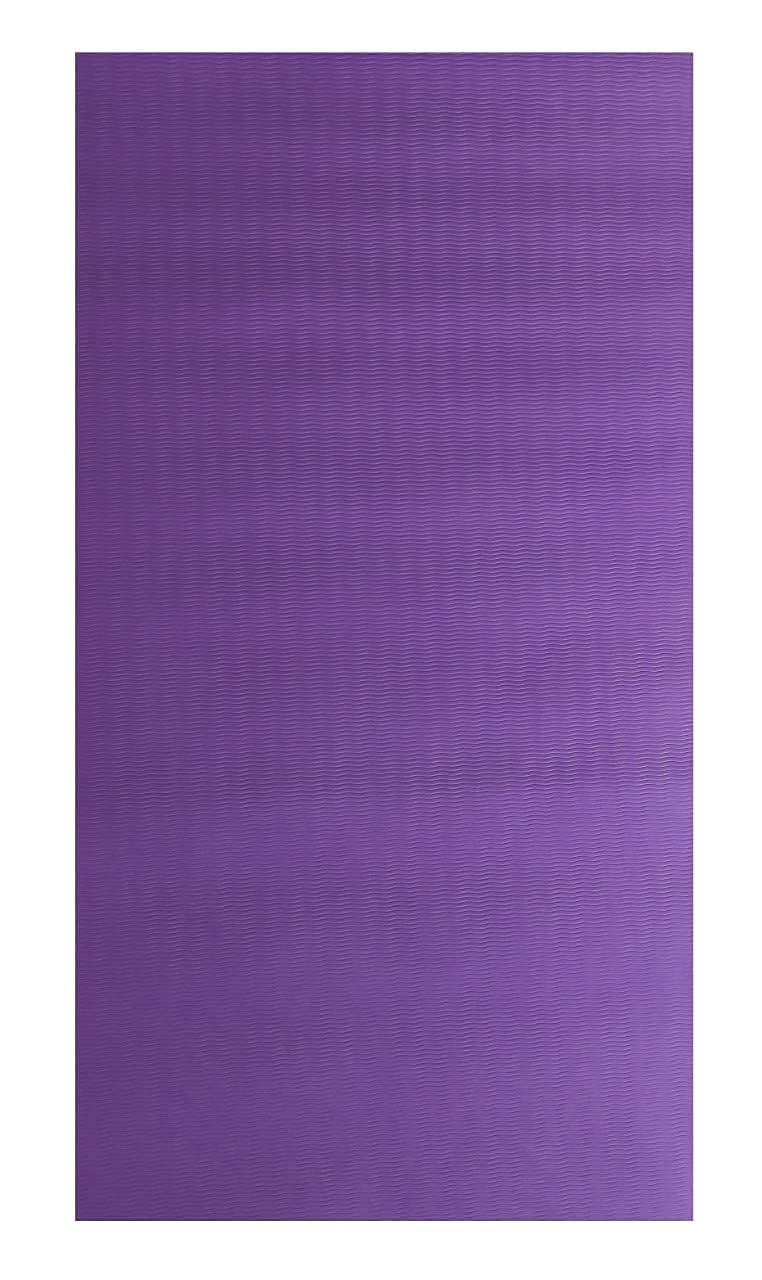 Yoga Mat for Gym Workout and Yoga Exercise, Anti-Slip Yoga Mat for Men & Women Fitness (6 X 2 FEET) (4mm, Purple) (B0CVF4DNR6) Amazon Price History, Amazon Price Tracker