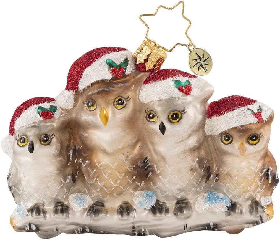 Christopher RadkoHand-Crafted European Glass Christmas Decorative Ornament, It's Owl in The Family Gem